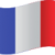 20px-France_flag_300-1-q8yguhqxtvs5jrj8kk0fqgjanhbqwigw7lnmw1dv7g